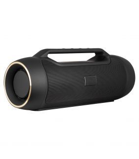 Speaker Wireless prevazut cu maner de transport