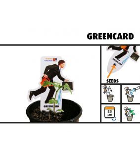 Card verde