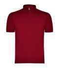 Tricou Polo Pegaso