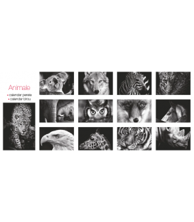 Calendar de perete Animale