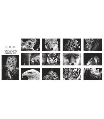 Calendar de perete Animale