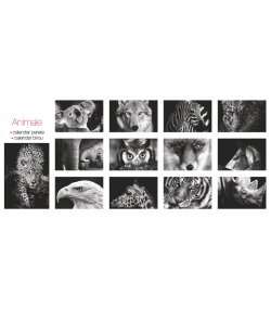 Calendar de perete Animale