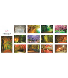 Calendar de perete Alei