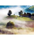 Calendar de birou România