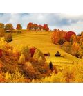 Calendar de birou România