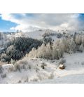 Calendar de birou România