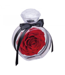 Trandafir natural conservat